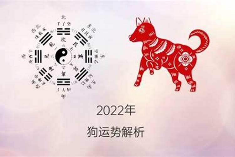 83年狗2021年运势