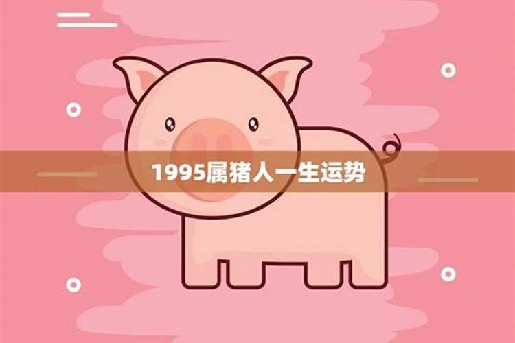 1995属猪运势2021