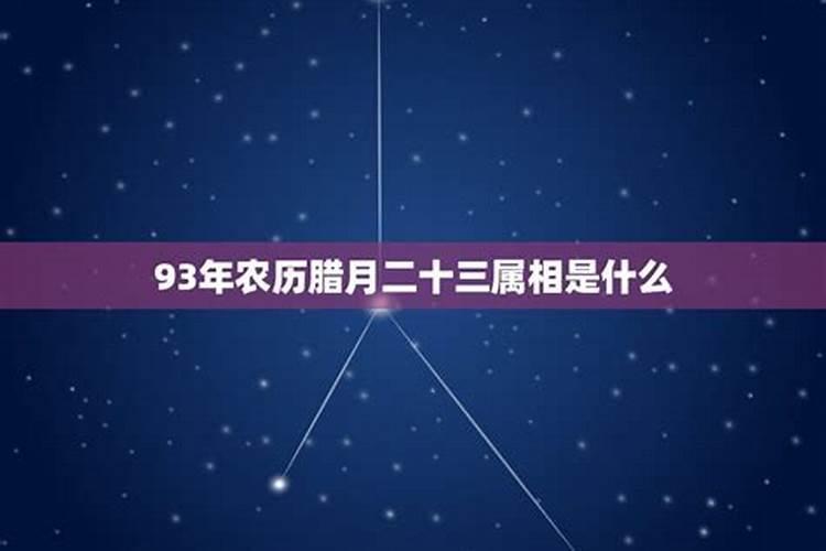 1993年腊月22日