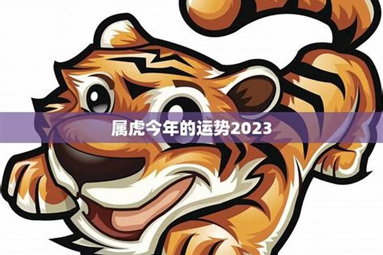 属虎2023感情运势如何看