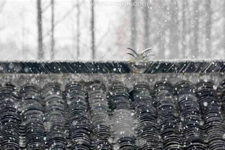 孕妇梦见下雨夹雪了周公解梦