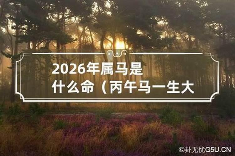 2026年属马的是什么命五行属什么