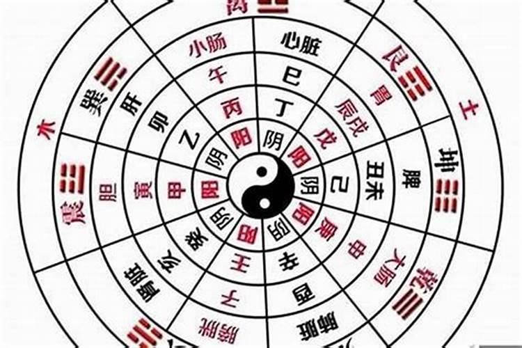 阴阳八字怎么看