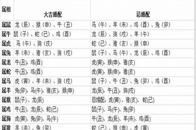 属猪2023年犯太岁佩戴什么