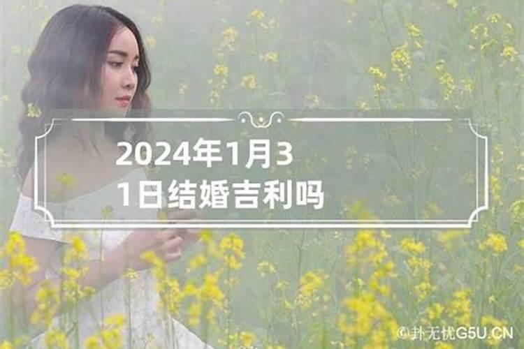 十二生肖属运程2024年运程