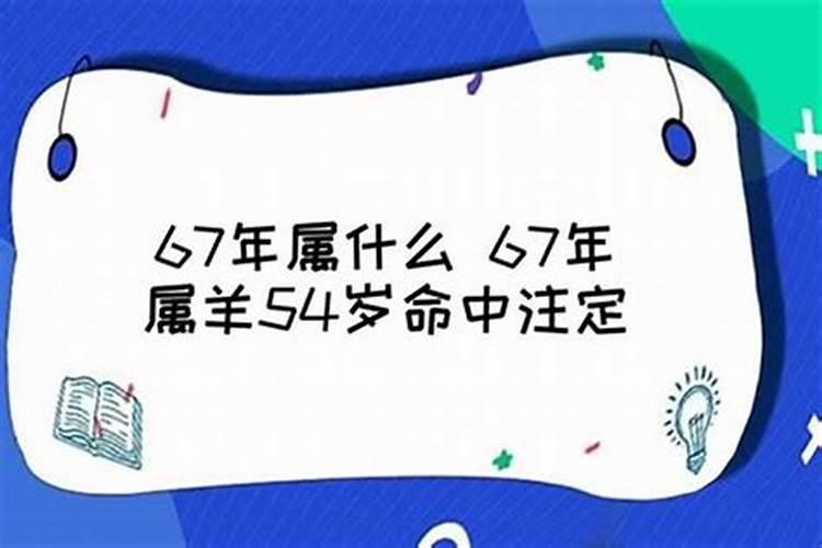 67年属羊54岁什么命