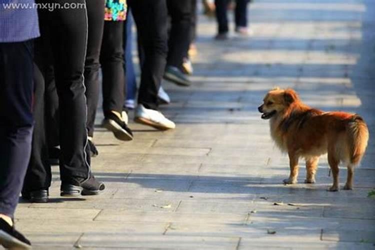 梦见和别人生气了是什么意思？梦见和同学生气是什么意思