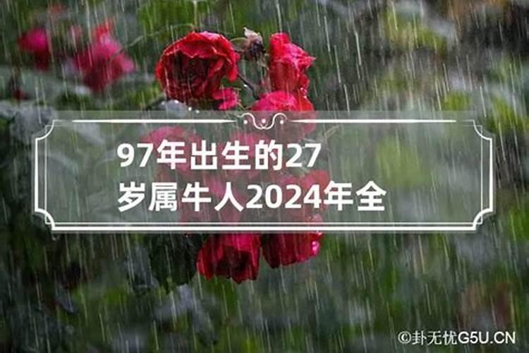 属鸡的人2024年运程抢先报