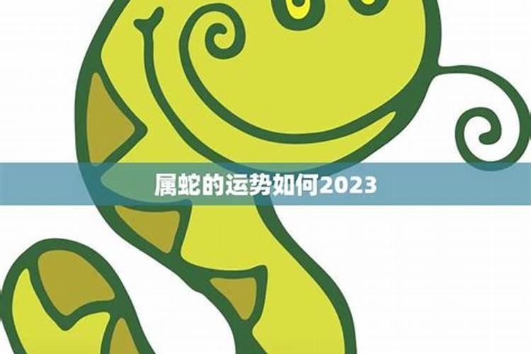 蛇的运势如何2022