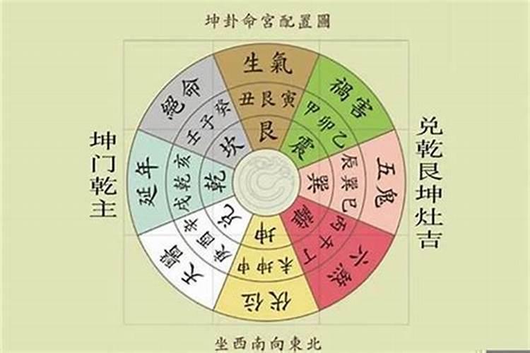 生辰八字里的木代表什么