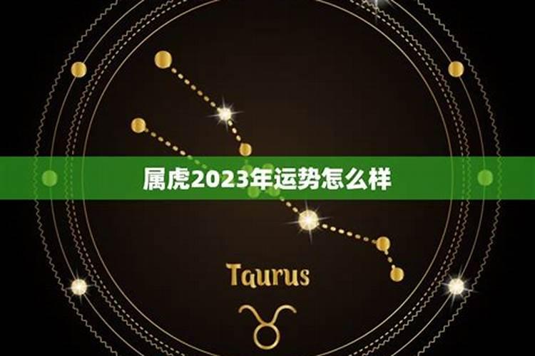 2020属虎天秤座今年运程