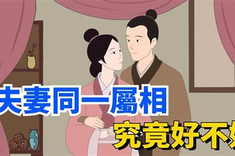 什么属相的夫妻在一起才好