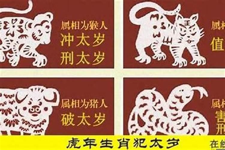 2021年属龙的破太岁怎么破解