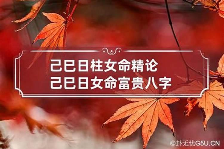 八字日柱己巳生人的一生命运