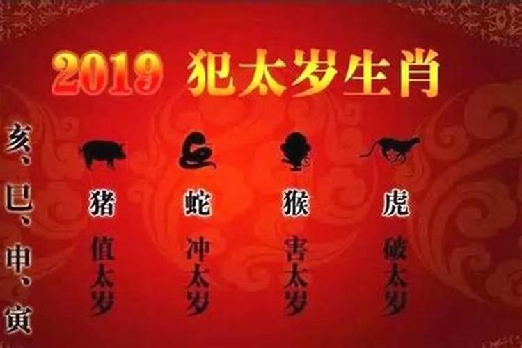 属相蛇今年是犯太岁还是冲太岁好一点