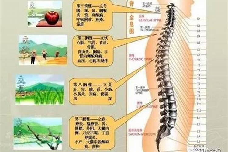 微商化太岁有用吗