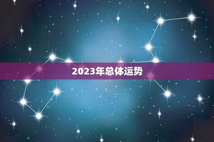 羊年出生在2023年运程如何