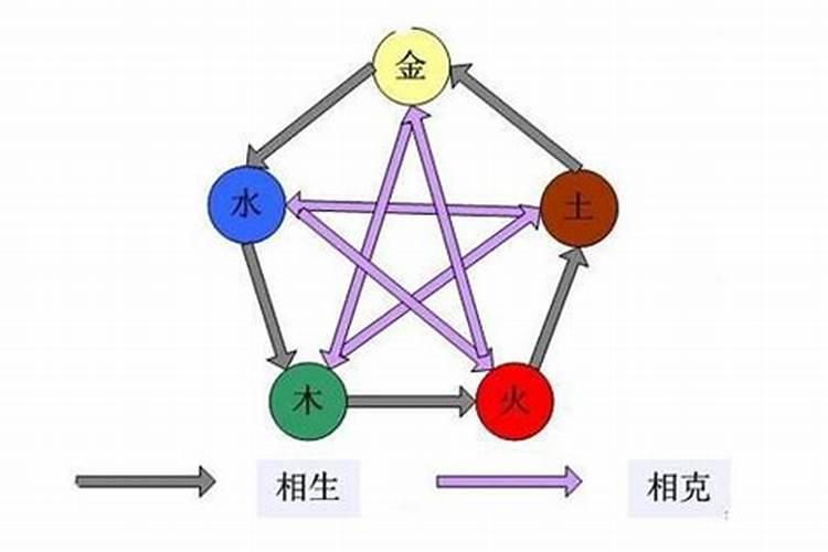 婷五行属什么属性