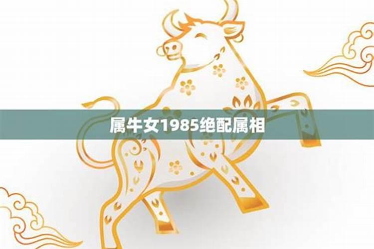 1974年属虎在2023年每月运势怎样