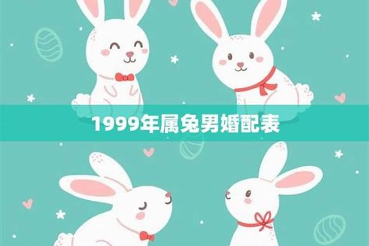 1999年属兔女孩婚配，1999年的兔是什么颜色的的兔