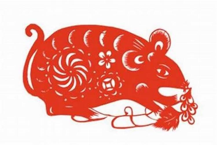 属猪今年什么命