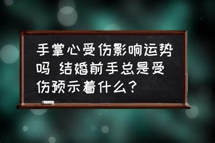 2023猪的运势不知如何