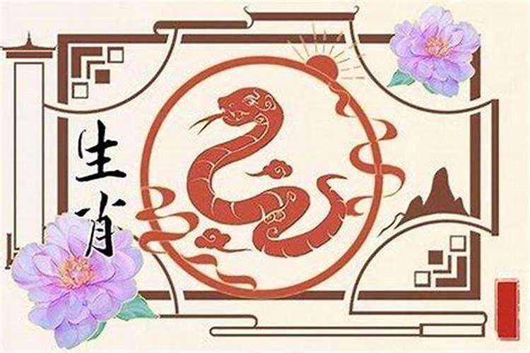 属蛇男今年打运势