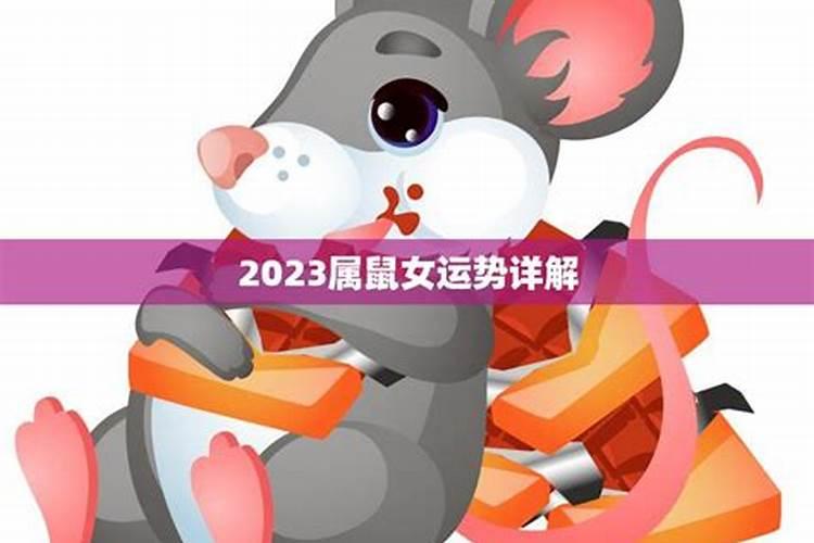 属虎2022年全年运势运程