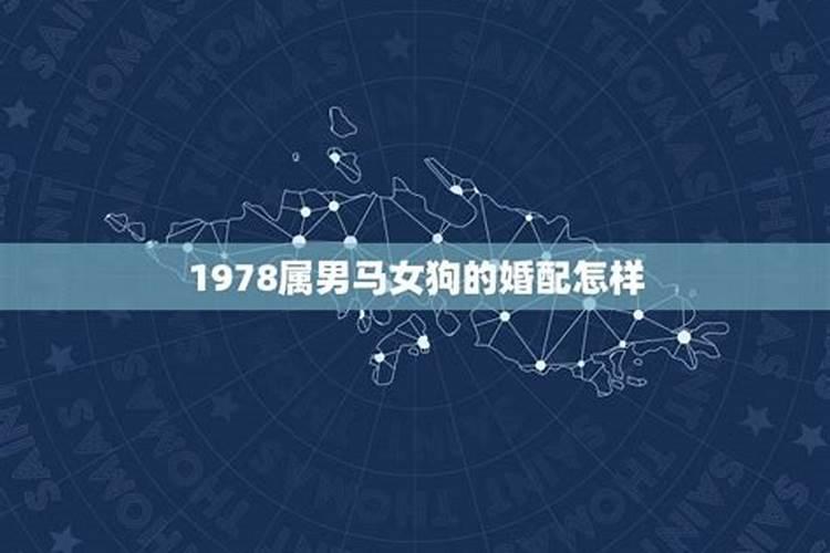 82年狗和78年马合婚吗