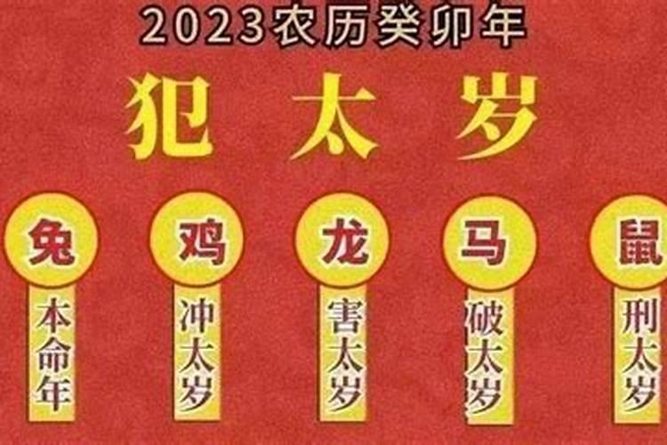 99年属兔戴什么