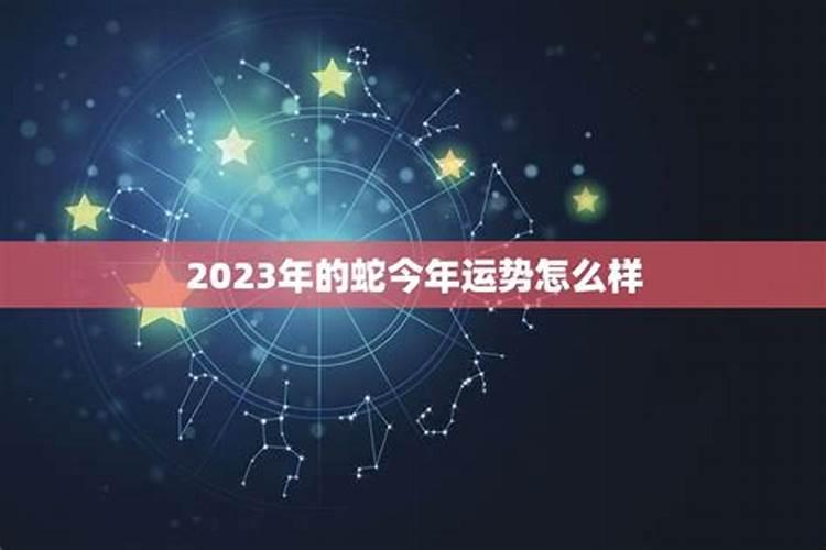 2023年几月属兔男孩命好