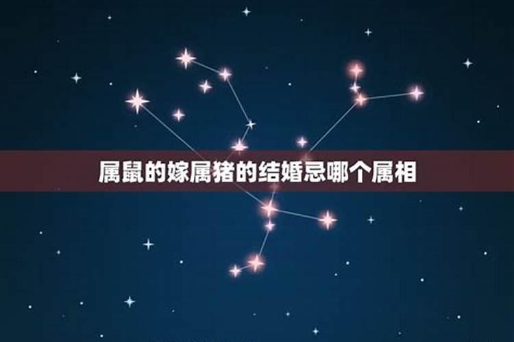 属鼠的男人和属鸡好不好？属鸡的男人今年财运怎么样