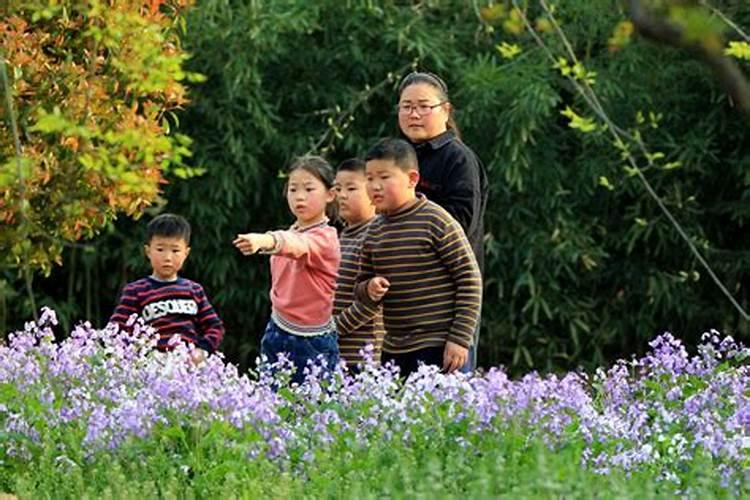 清明节踏青的寓意和风俗