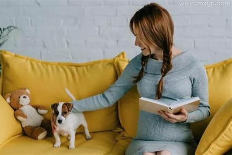 怀孕初期梦到狗咬自己的手