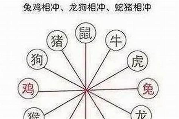 梦见开车迷路是什么意思周公解梦