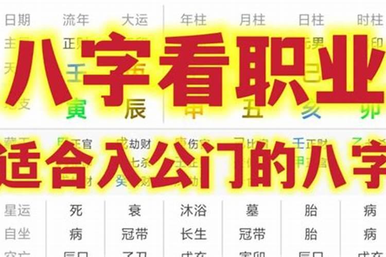 八字命理怎么选择职业？八字水平较高的老师