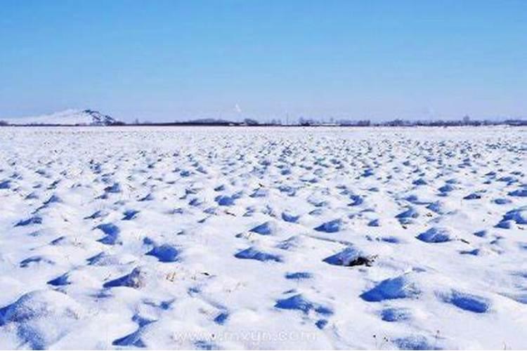 梦见满地都是白色的雪