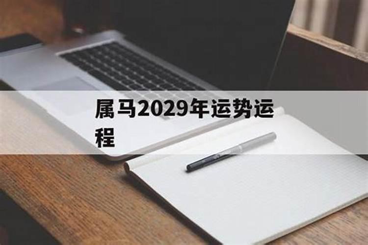 属马的2029年运势不好吗