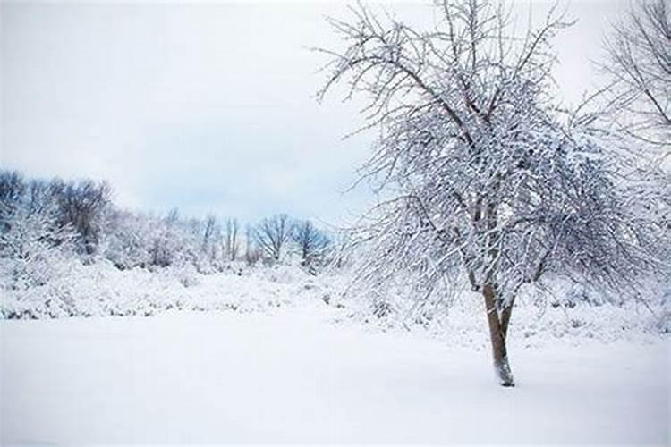 梦见下雪是什么预示呢？已婚男人梦见下雪