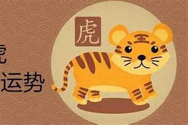 属猴80年的人一生运程怎么样