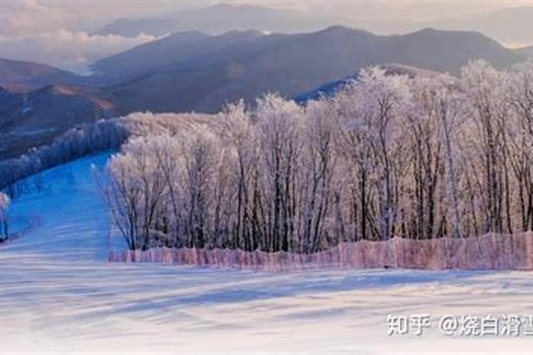 正月初二去哪里滑雪