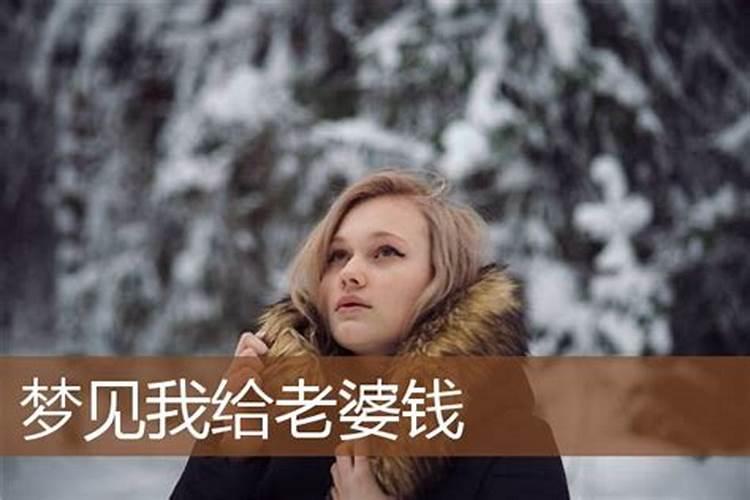 梦见老婆找我要钱我没钱