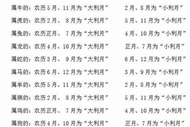 48岁属兔人2022年运势及财运