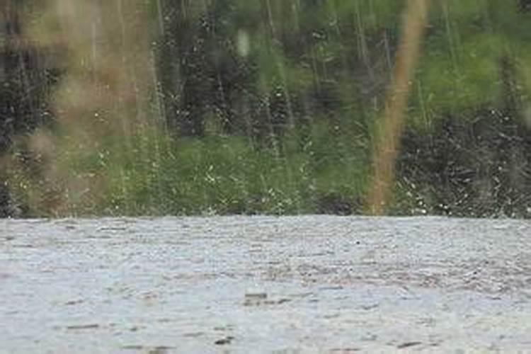 怀孕了总是梦到下雨