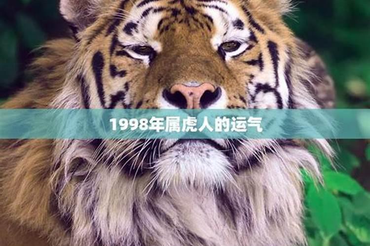 1998年属虎人全年运势