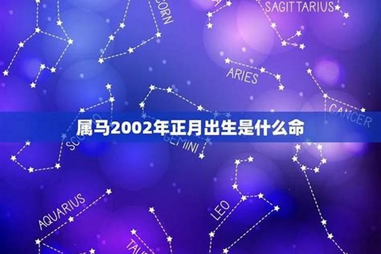 2023年正月马2月运势如何