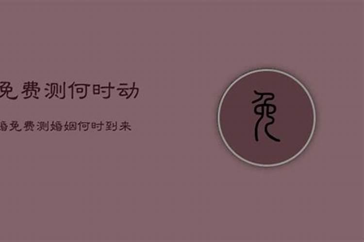 办公室如何布置风水好