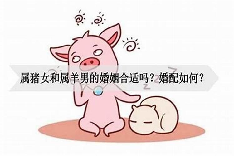 男属鸡女属猪婚配怎么样？男属鸡女属猪婚配吗