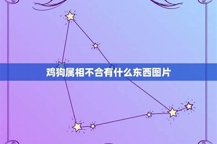 属猪2022破太岁化解可戴红绳吗