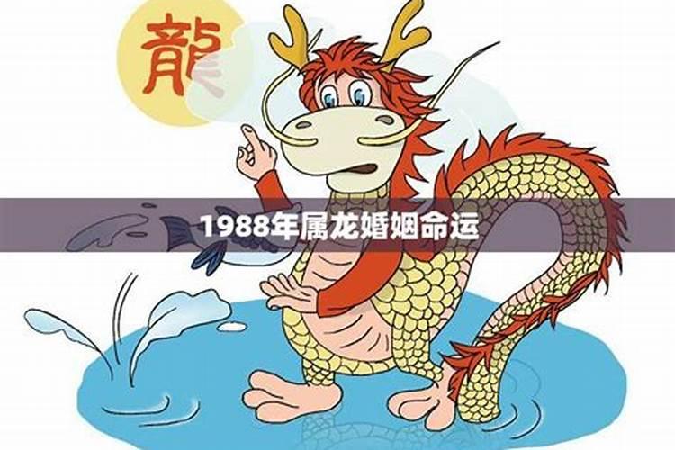 1981年属龙婚姻命运